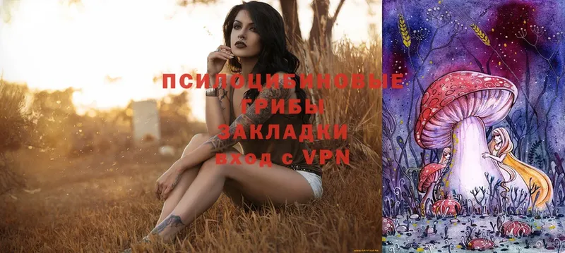 Псилоцибиновые грибы Magic Shrooms  маркетплейс формула  Лысьва  KRAKEN ссылка 